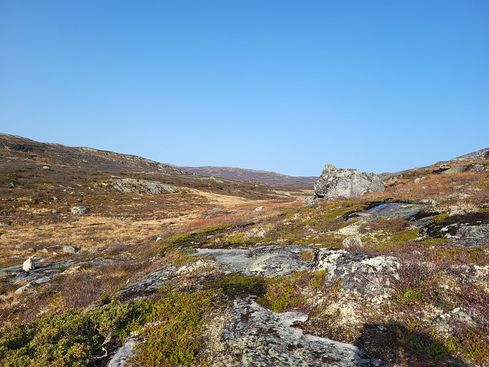 Mot dagens turmål, toppen ligg litt bak platået der.