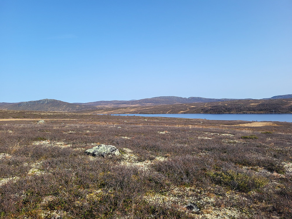 Mot nord (Krusgravkampen, Nordbukampen?)