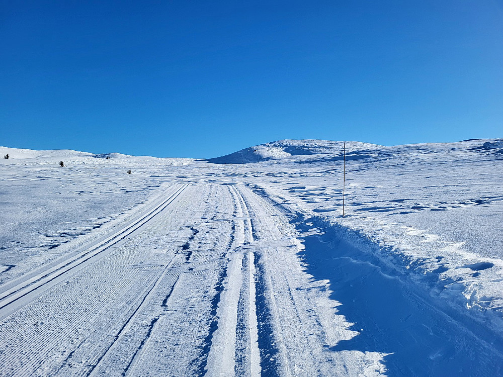 Fint i fjellet her.