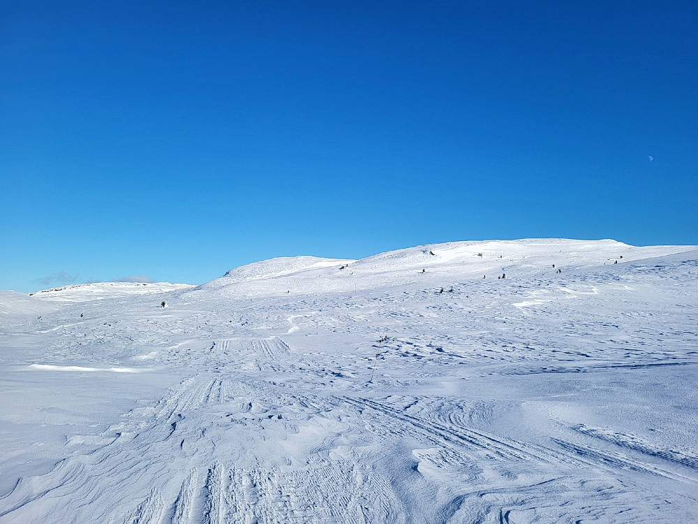 Her er eg komen opp i kring 1100 m.o.h. Skiløypa vart oppkøyrt i går.
