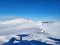 mariusmeland_20240226_65dcaa5259d7b.jpg
