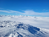 mariusmeland_20240226_65dcaa53bc73f.jpg