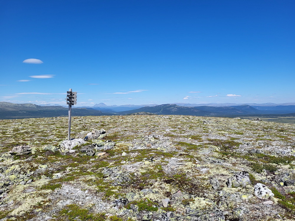 På toppen av Reinfjellet