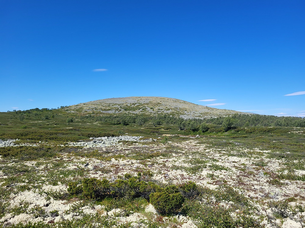 Mot Reinfjellet