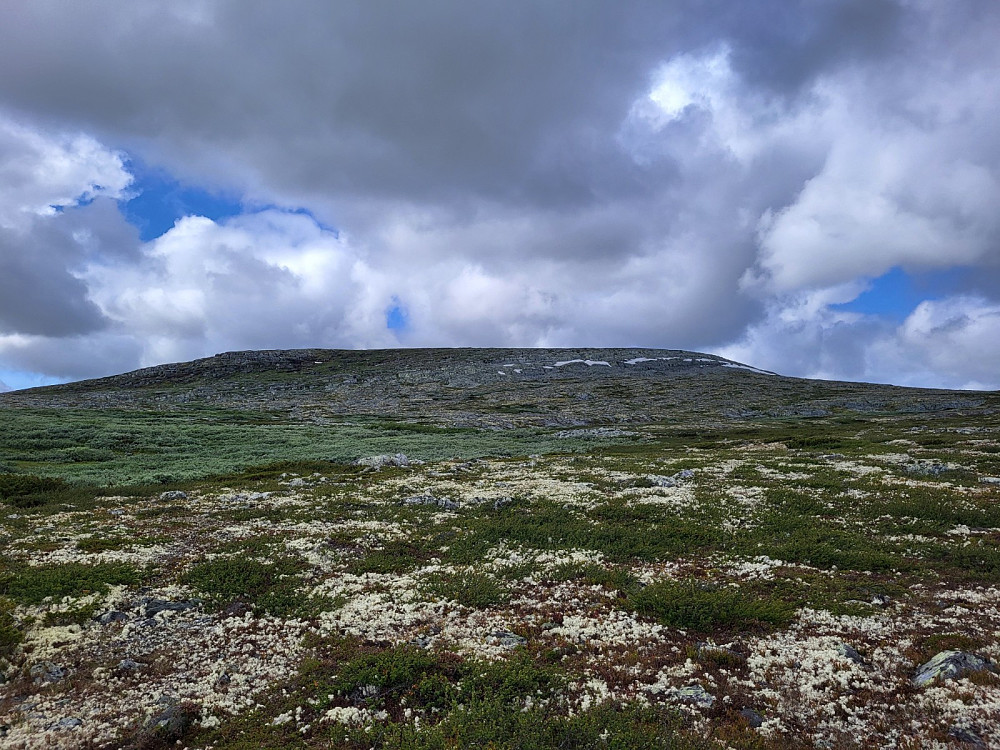Dagens første turmål: Austre Breitjønnshøgda.