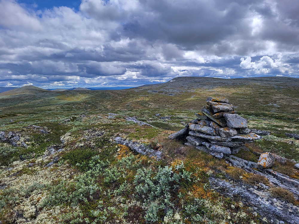 På Austre Breitjønnshøgda.