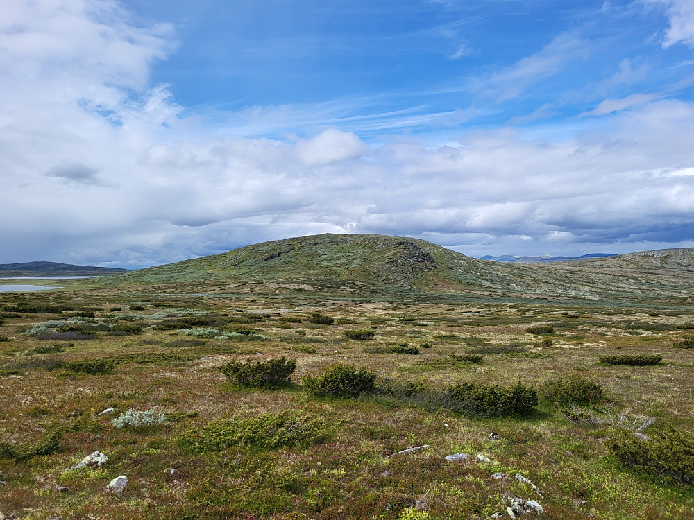 Tilbakeblikk mot Austre Breitjønnshøgda.