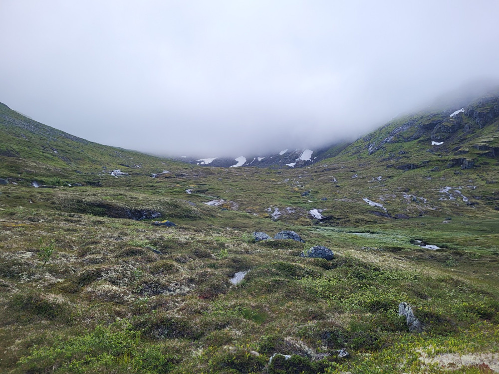 Det var skodde i Vasstekedalen, så eg slapp å sjå kor bratt det var der eg skulle opp.