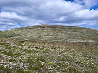 mariusmeland_20240725_66a2623941ad5.jpg