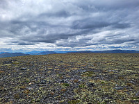 mariusmeland_20240725_66a26239bee58.jpg