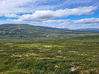 mariusmeland_20240725_66a2623a47f0f.jpg