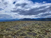 mariusmeland_20240725_66a2623b3e8a8.jpg