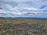mariusmeland_20240725_66a2623bc4ab1.jpg