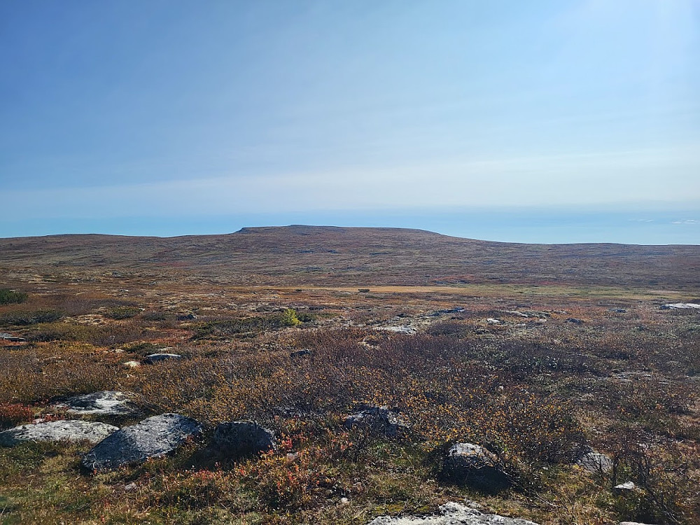 Skarvvola sett frå Friisvegen. Denne toppen skremmer nok ikkje vettet av folk.