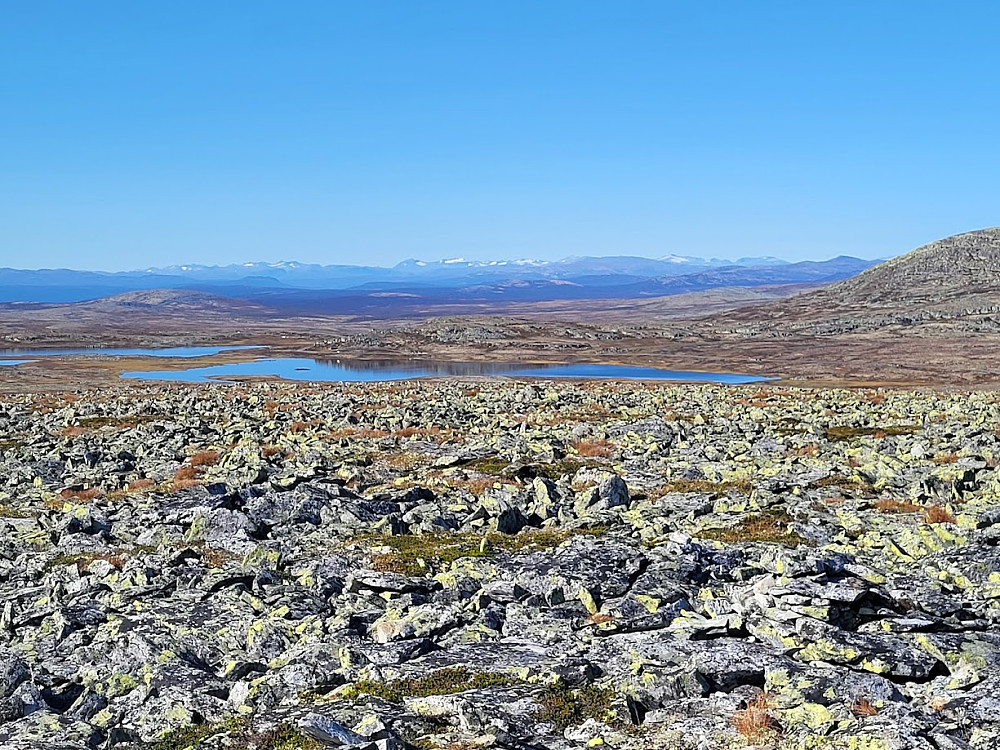 På toppen er det utsikt til snødekte toppar i Jotunheimen.