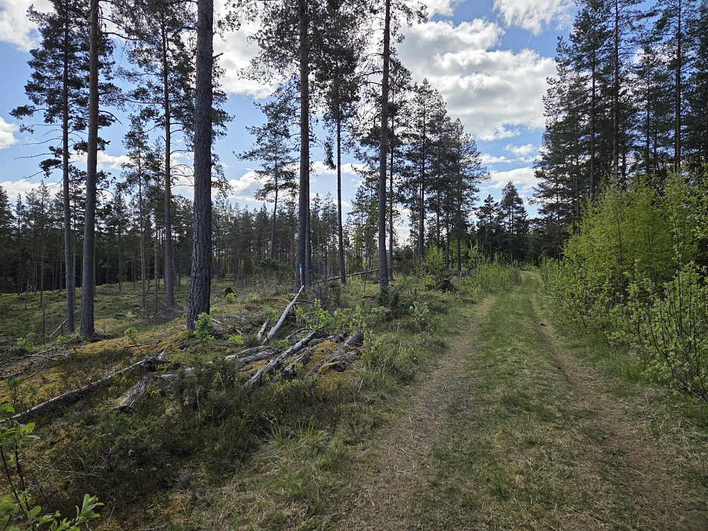 Her er toppunktet, jammen var det ein stolpe her også :)