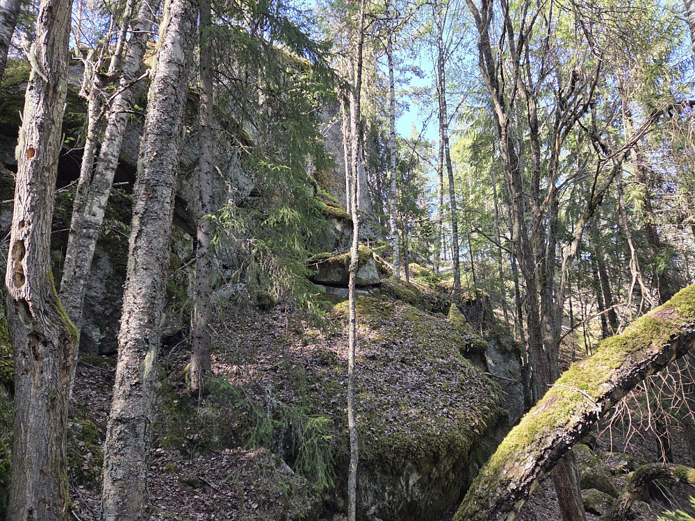 Typisk Stange-terreng?