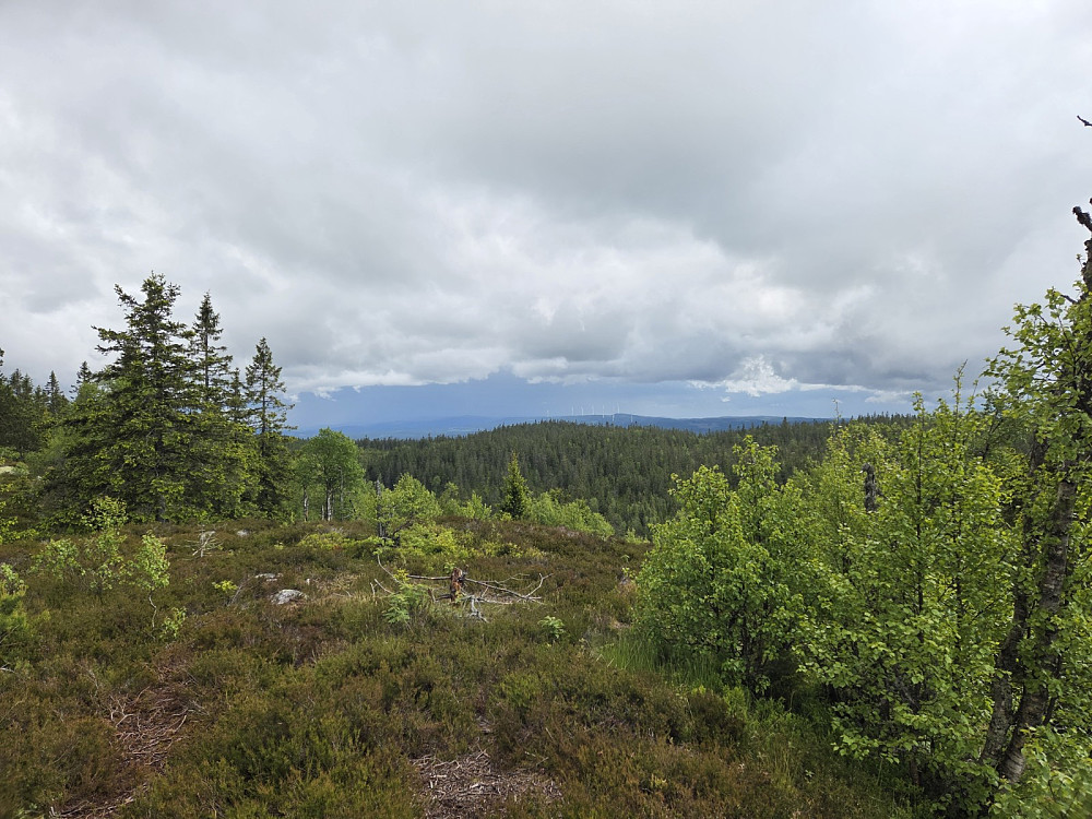 På toppen av Grasberget.  I bakgrunnen skimtast vindmøller og dårleg ver.