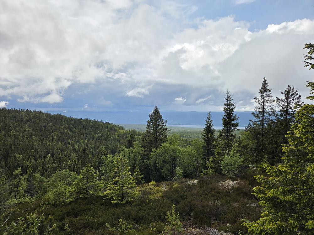 På toppen av Grasberget, med utsikt mot sørlege del av Mjøsa.