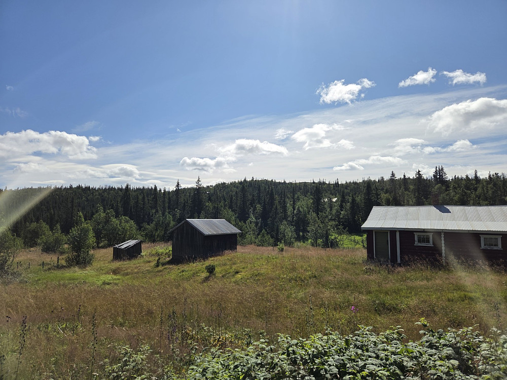 Utsikt mot Byfellifjellet frå start.