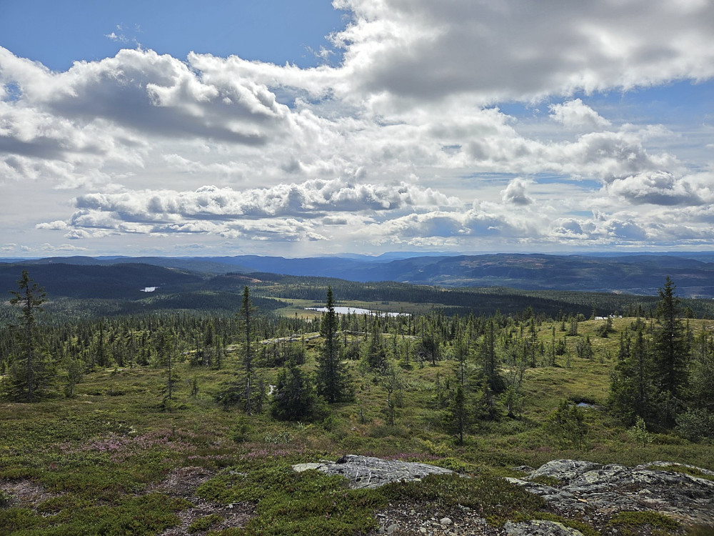Flott utsikt også frå Byfellifjellet, mot sør.