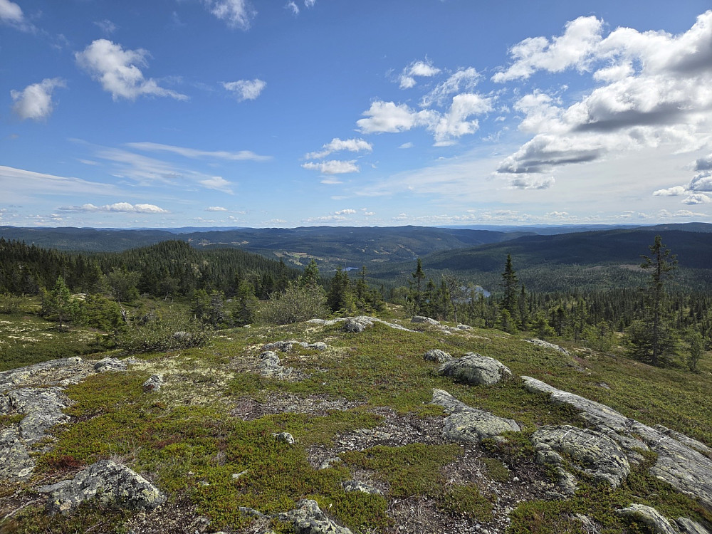 Utsikt frå Byfellifjellet mot søraust.