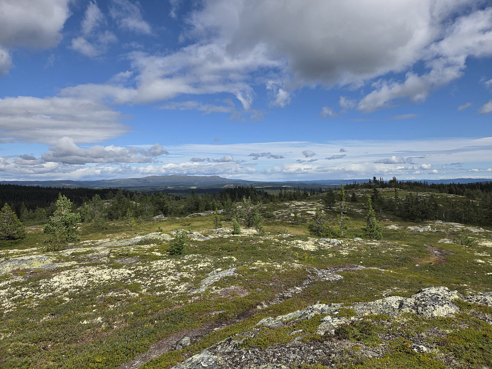 Utsikt frå Byfellifjellet mot Synnfjell.