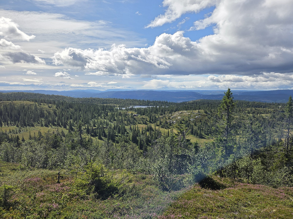 Utsikt frå Dalavardin mot sør.
