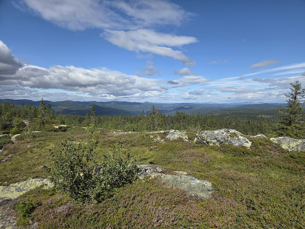 Utsikt frå Dalavardin mot nordvest.