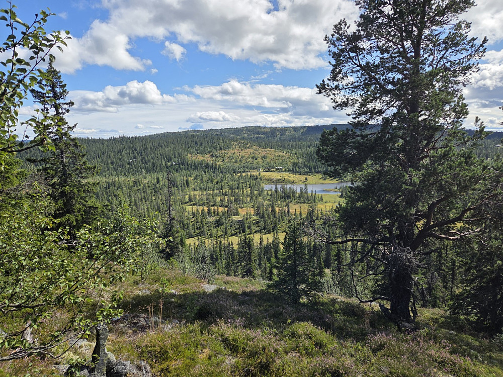 Utsikt mot sør frå toppen.
