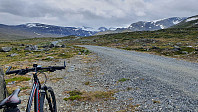 Loffen_20220717_62d3f8d611d74.jpg