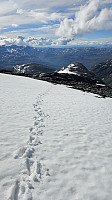 Loffen_20240714_6693f60e0ff86.jpg