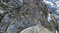 Loffen_20240714_6693f614ba2b8.jpg