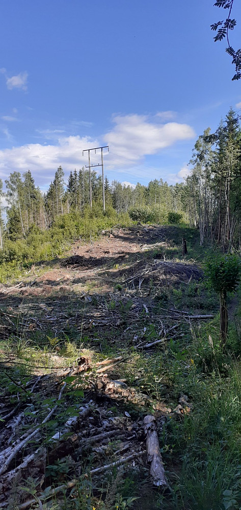 Høyeste punkt er rett ved denne høyspentmasten.