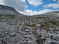 920 m. Mer ur, knapt fast fjell å gå på. Dette blir slitsomt.