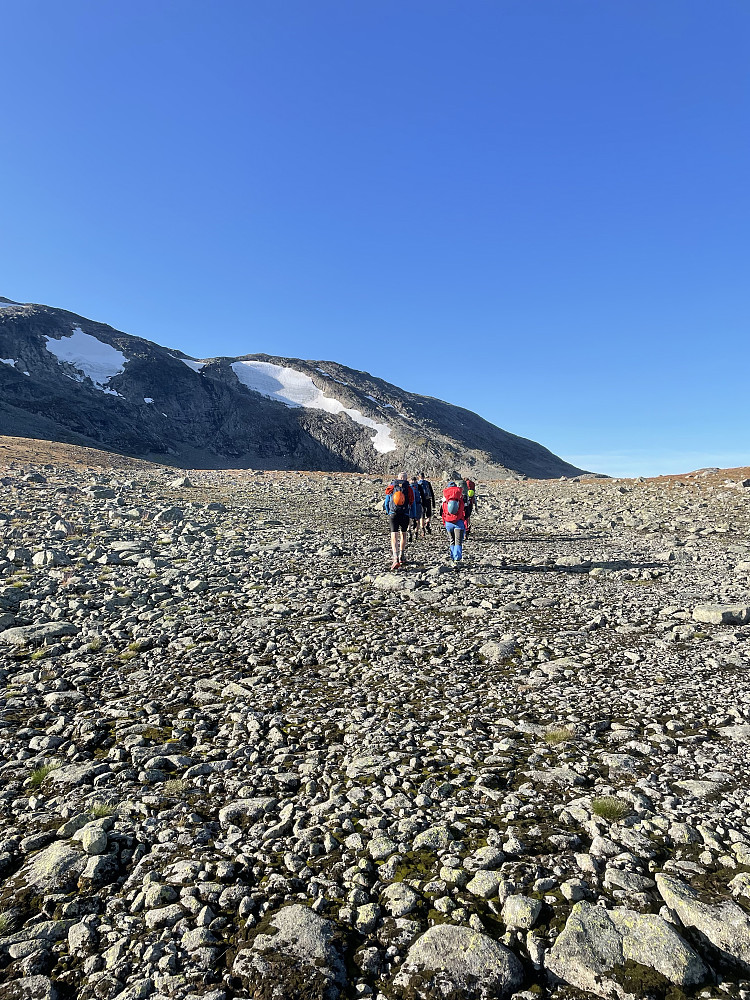 På vei mot oppstigningen til Slettmarkkampen. Vi tok ut en linje på ryggen opp fra høyre, rett bakenfor det store snøfeltet, men hitafor den tynne snøstripa.