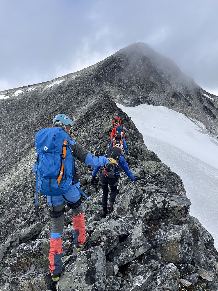 På vei oppover mot Søre. Vi holdt oss på ryggen nære breen opp til fortoppen, her var det lite lav og mose.