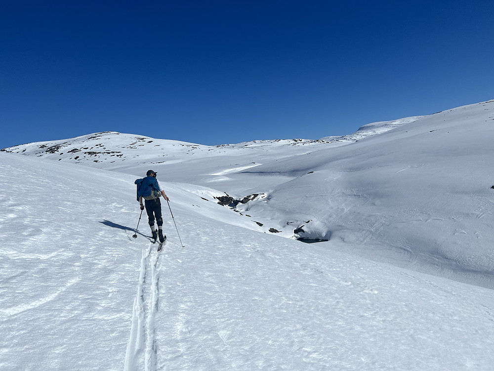 Jarle leder an innover mot Elvedeltaet der vi skal krysse Store Føysa. Flotte skiforhold på fast og fin snø.