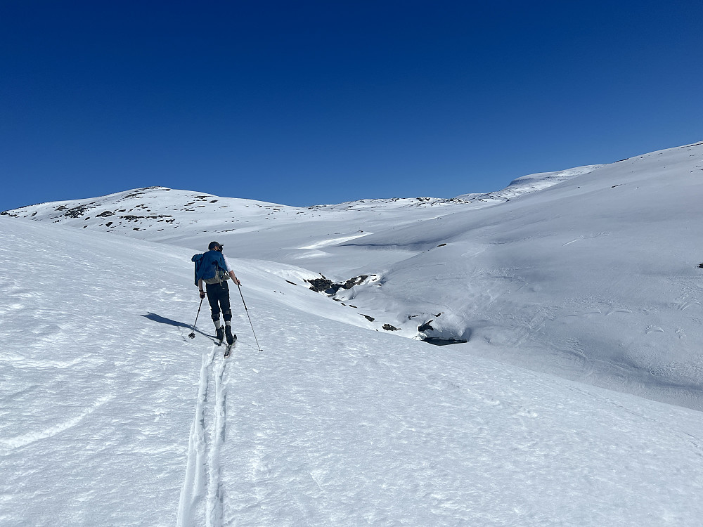 Jarle leder an innover mot Elvedeltaet der vi skal krysse Store Føysa. Flotte skiforhold på fast og fin snø.