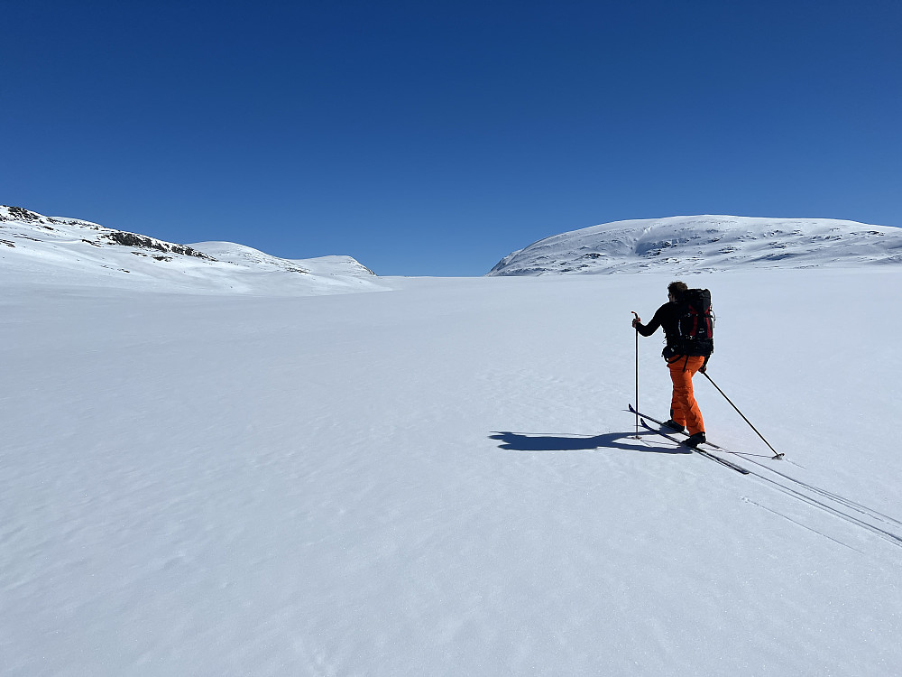 På flatene innover mot innsteget til Gråhøe. På høyre side av dalføret ligger Skarvedalseggi som herfra ser høyere ut, men det er bare synsbedrag.