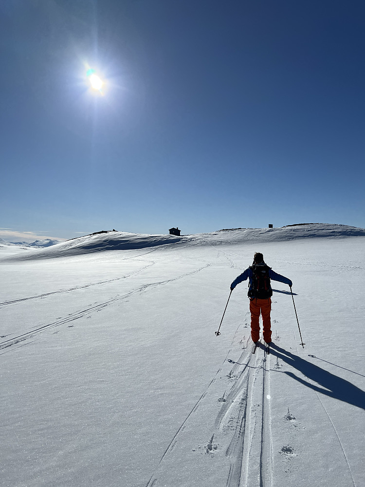 Her er vi nesten tilbake på Skarvedalshytta igjen etter noen gøyale nedkjøringer fra toppen. Men enda står det igjen 10 kilometer og mange høydemeter nedover.