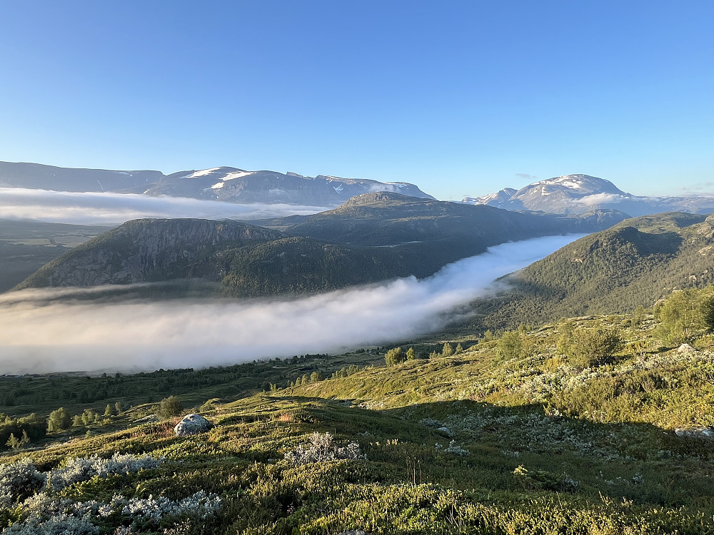 Vi har kommet oss opp fra dalen og over tåka. Været er upåklagelig og utsikten begynner å ta seg opp også.