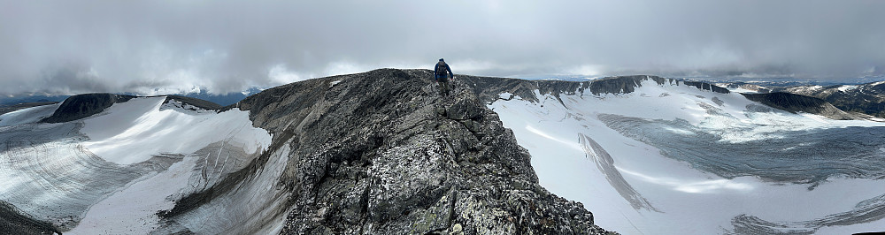 Panorama med Austre helt til venstre, ryggen opp mot Midtre, og til høyre ligger Vest for midtre og Låven helt ytterst.