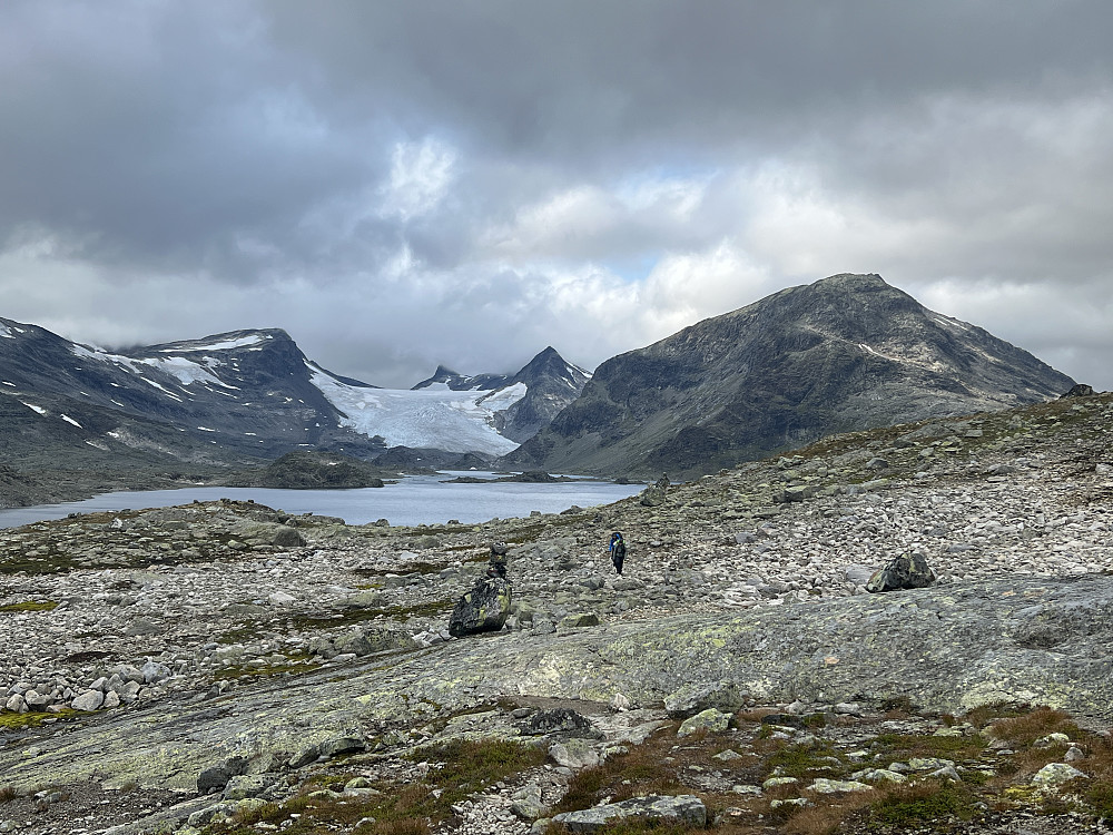 Vi er oppe i høyden og kan nyte utsikten mot Mjølkedalsbreen, Mjølkedalspiggan og Storegut