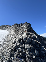 Robert_20250817_68a2294f70276.jpg