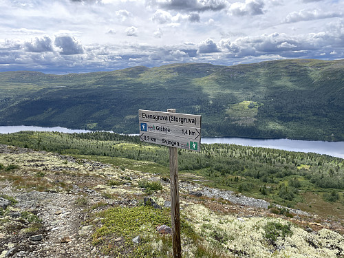 På veg ned
