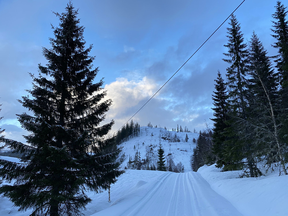 Topptjønnfjellet.
