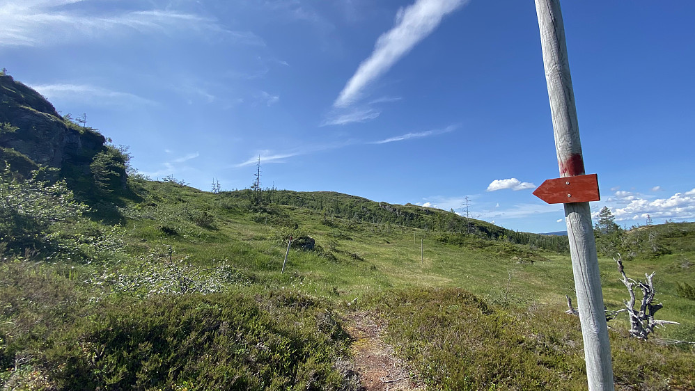 Merket løype fra Aksnes til Mevassetran.