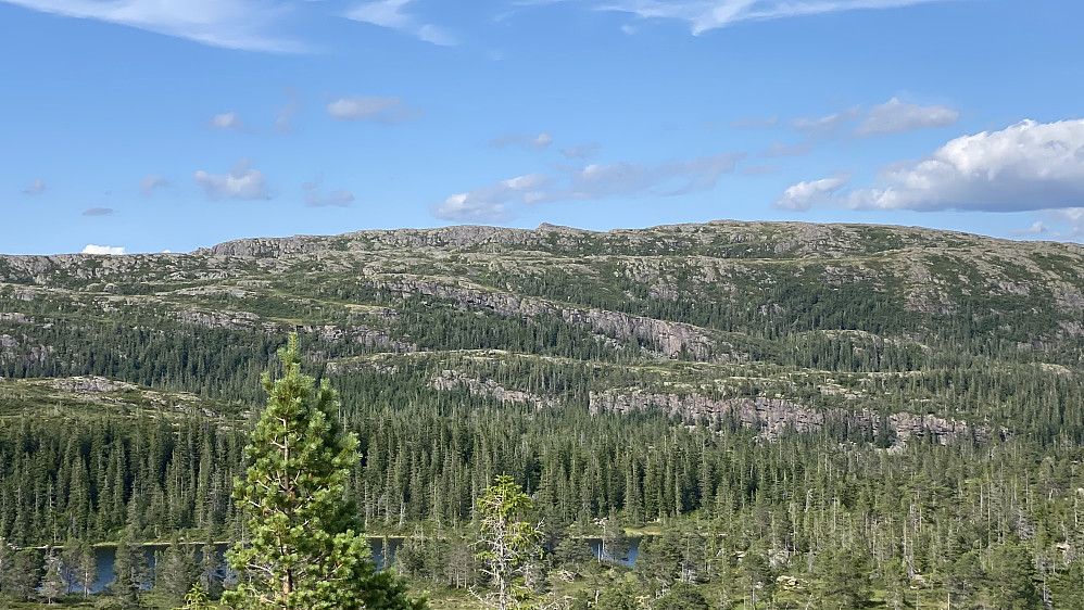 Kjerringklumpen 601 moh. langt i det fjerne. Det var en gang kommunens høyeste topp.