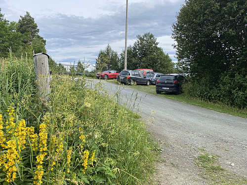 P- plassen var fylt opp av seter turister. FIN TUR!